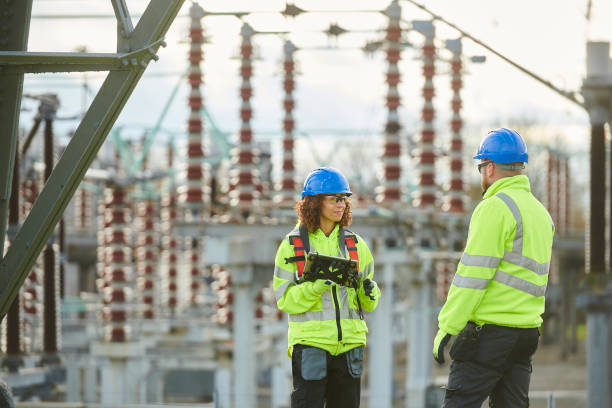 Best Generator Installation Services  in Frankfort, MI